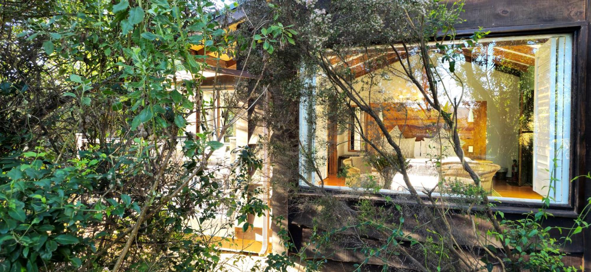 Elephant Hide Of Knysna Guest Lodge Buitenkant foto