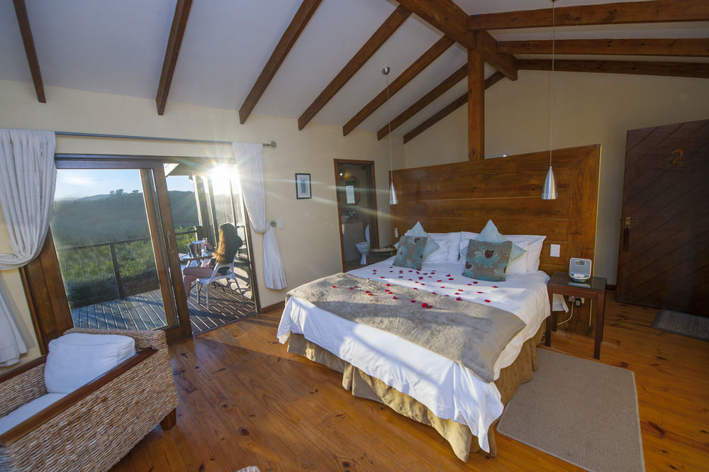 Elephant Hide Of Knysna Guest Lodge Buitenkant foto