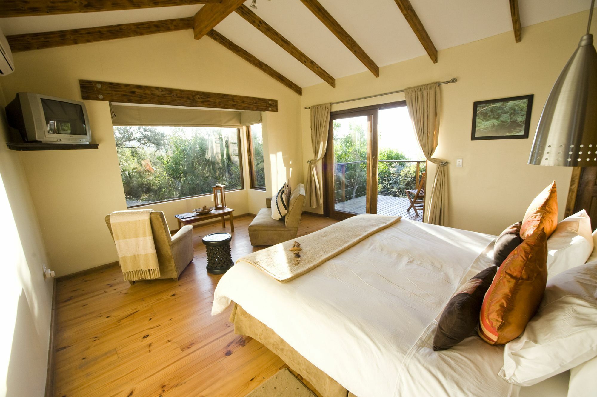 Elephant Hide Of Knysna Guest Lodge Buitenkant foto